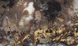 Coprolite Rock Slab 189