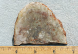 Coprolite Rock Slab 192