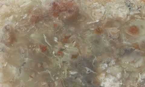 Coprolite Rock Slab 192