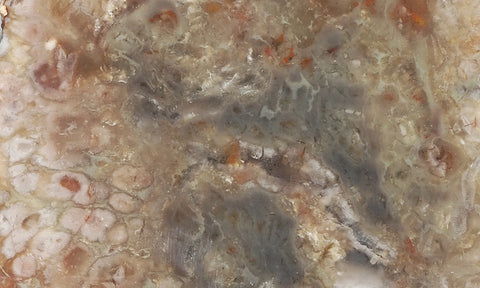 Coprolite Rock Slab 190