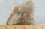 Coprolite Rock Slab 173