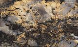 Coprolite Rock Slab 167