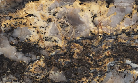 Coprolite Rock Slab 167
