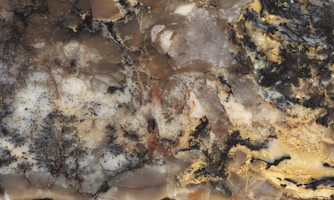 Coprolite Rock Slab 194
