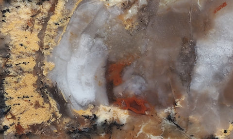 Coprolite Rock Slab 188