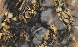 Coprolite Rock Slab 181