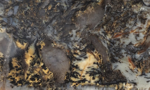 Coprolite Rock Slab 197
