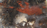 Coprolite Rock Slab 195