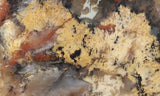 Coprolite Rock Slab 169