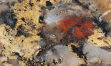 Coprolite Rock Slab 169