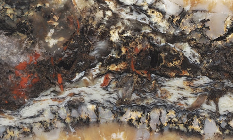 Coprolite Rock Slab 172