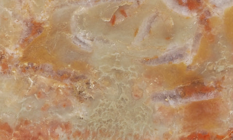 Coprolite Rock Slab 182