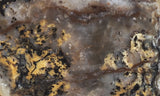 Coprolite Rock Slab 198