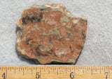 Coprolite Rock Slab 187