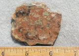 Coprolite Rock Slab 187