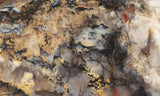 Coprolite Rock Slab 176