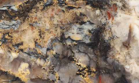 Coprolite Rock Slab 176