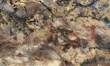 Coprolite Rock Slab 174
