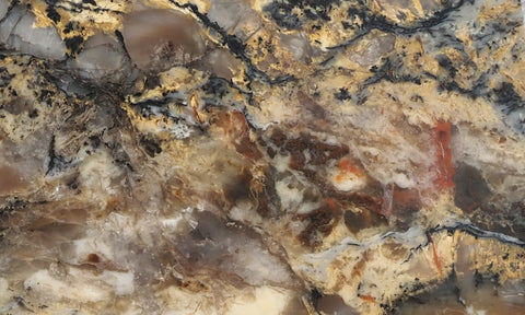 Coprolite Rock Slab 174