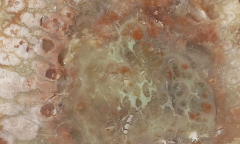 Coprolite Rock Slab 171