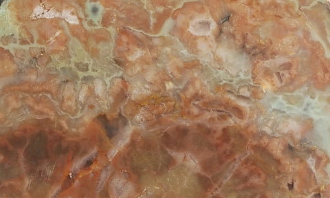 Coprolite Rock Slab 185