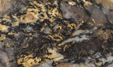 Coprolite Rock Slab 168