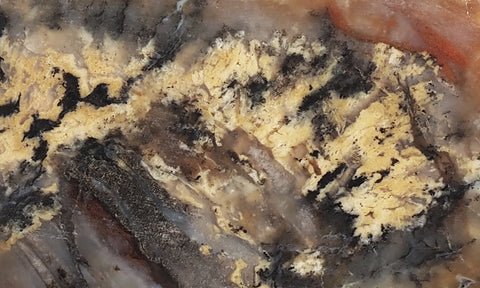 Coprolite Rock Slab 196