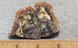 Coprolite Rock Slab 196