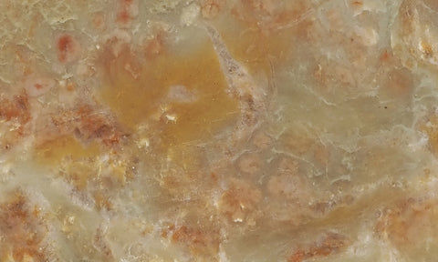 Coprolite Rock Slab 193