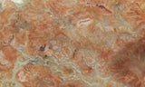 Coprolite Rock Slab 175