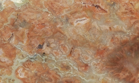 Coprolite Rock Slab 175