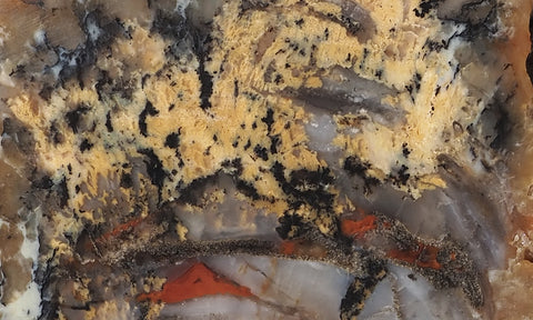 Coprolite Rock Slab 178