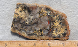 Coprolite Rock Slab 178