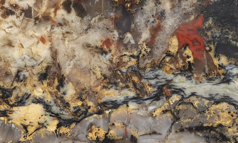 Coprolite Rock Slab 159