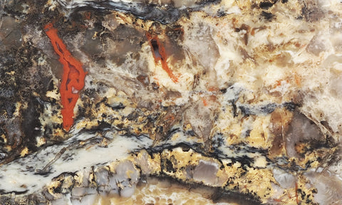 Coprolite Rock Slab 158