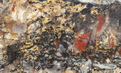 Coprolite Rock Slab 156