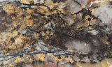 Coprolite Rock Slab 163