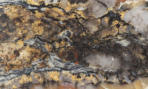 Coprolite Rock Slab 163