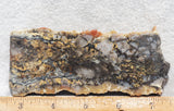 Coprolite Rock Slab 163