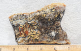 Coprolite Rock Slab 162