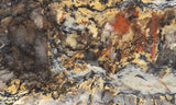 Coprolite Rock Slab 162