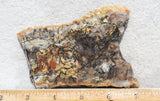 Coprolite Rock Slab 162