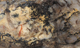 Coprolite Rock Slab 165