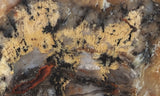 Coprolite Rock Slab 165