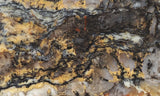 Coprolite Rock Slab 161