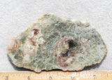 Coprolite Rock Slab 166