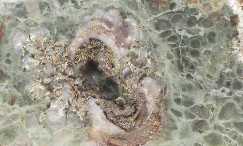 Coprolite Rock Slab 177