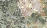 Coprolite Rock Slab 177