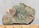 Coprolite Rock Slab 160