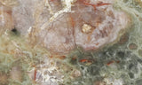 Coprolite Rock Slab 160